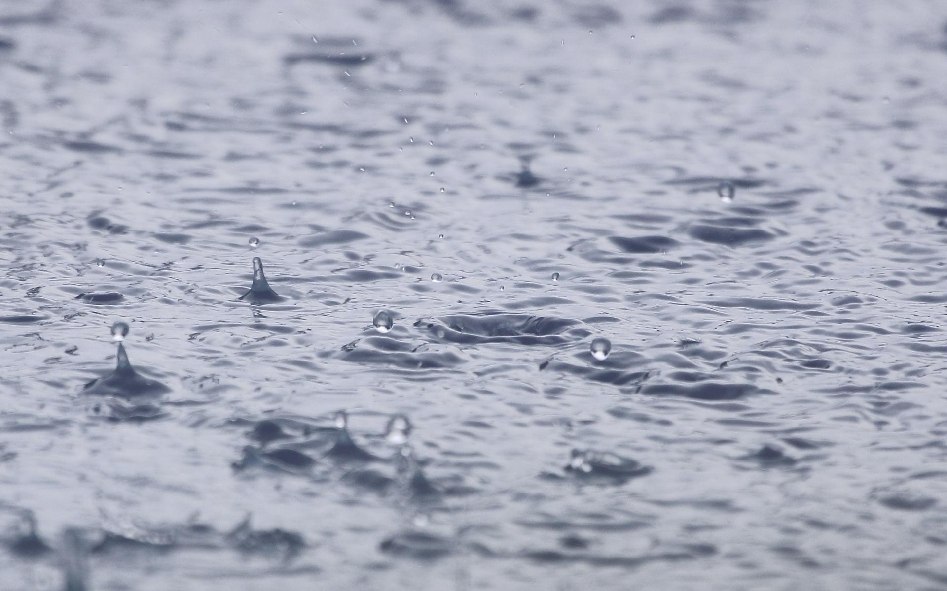 Regen