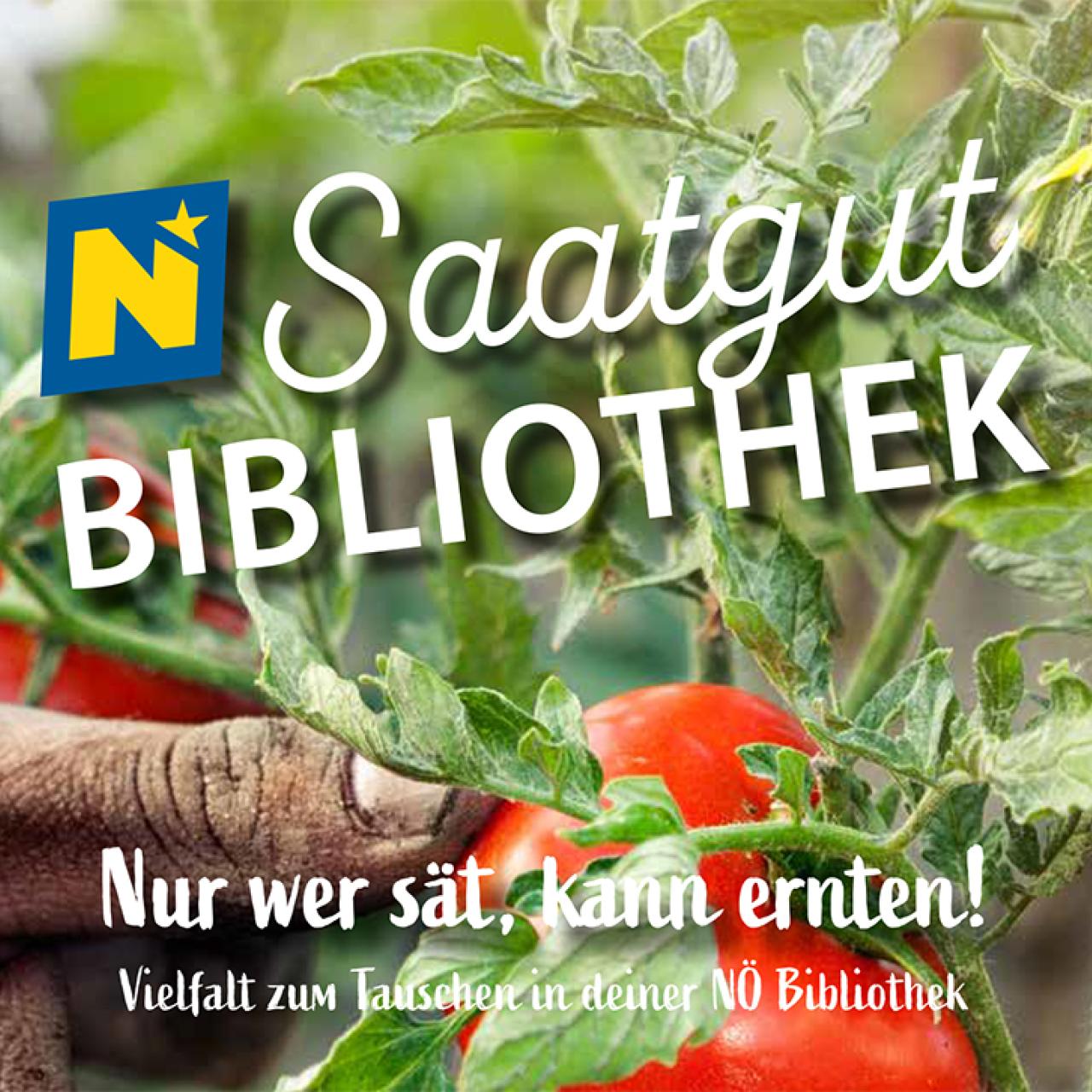 Werbeposter für die Saatgutbibliothek NÖ mit Tomatenpflanze